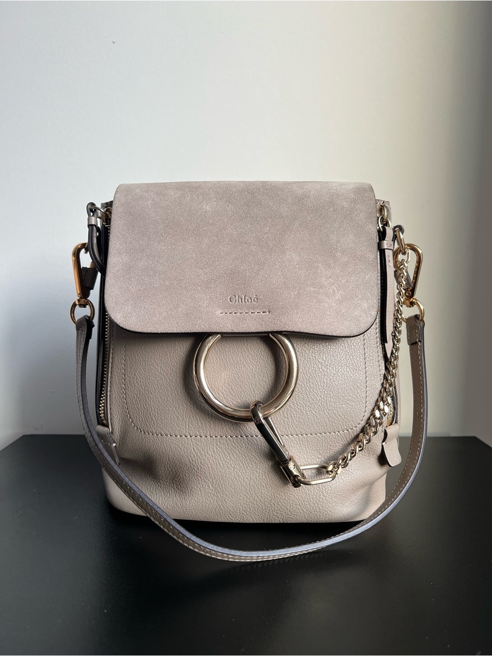 Chloé Faye Motty Grey Leather Suede Backpack